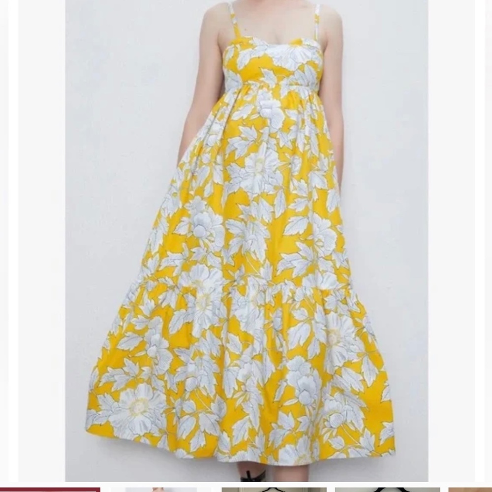 Zara dress